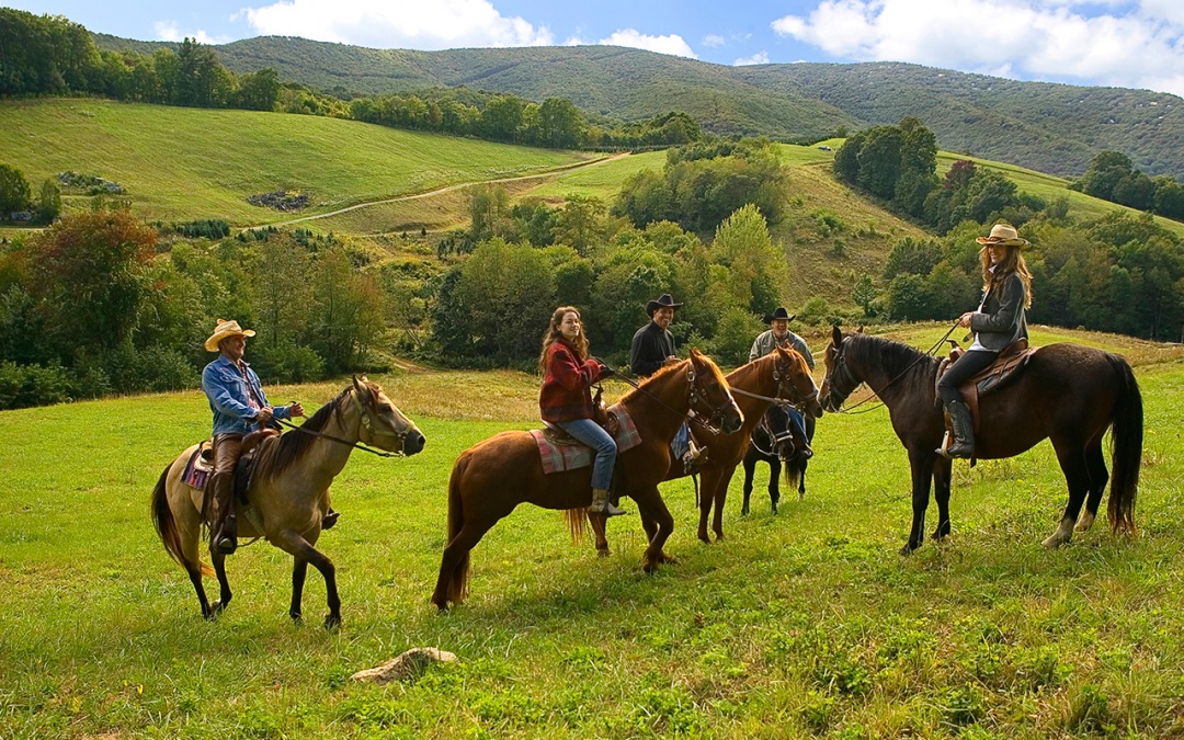 Circle Bar B Stables – Horse back riding (by car)