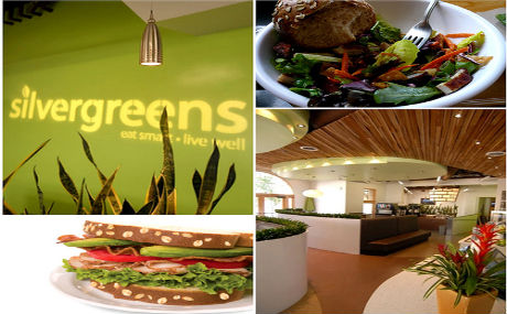 Silvergreens – the healthy fastfood